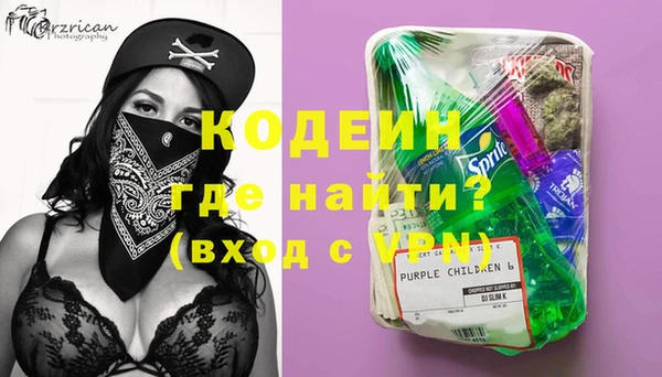 дурь Елизово