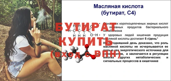 apvp Ельня