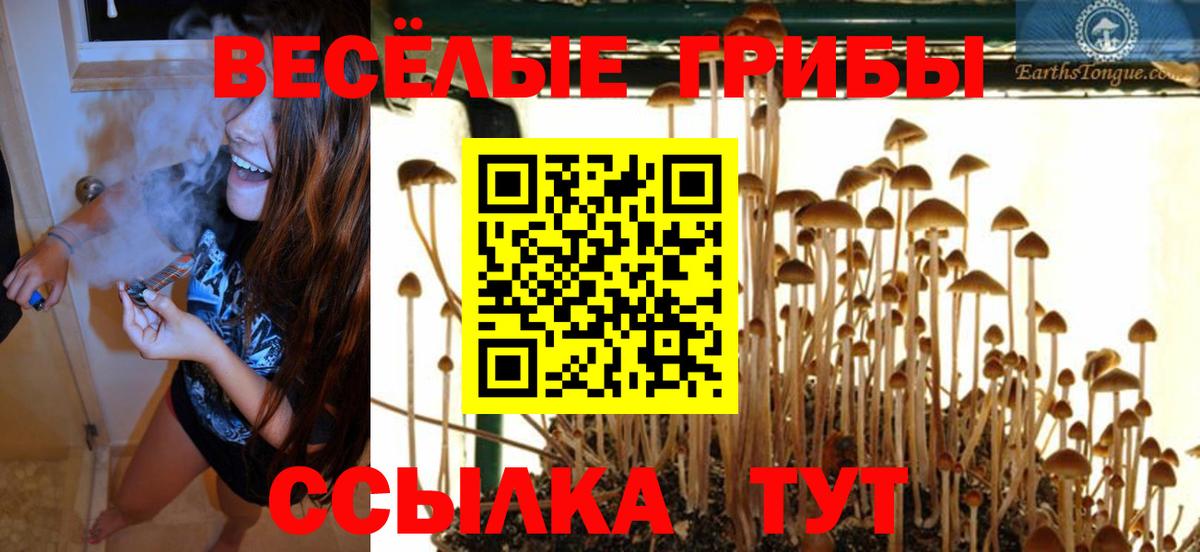 Псилоцибиновые грибы Magic Shrooms Сальск