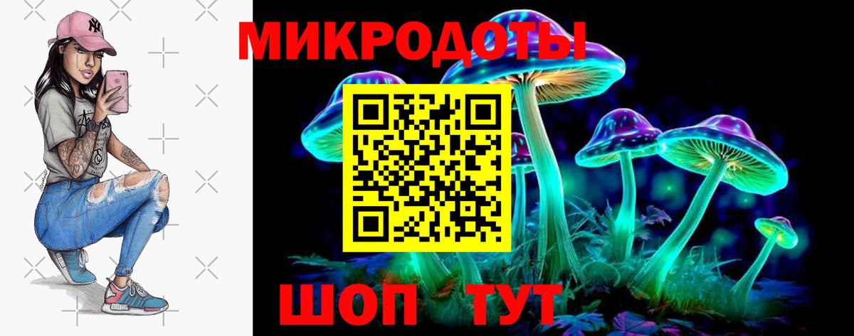 Псилоцибиновые грибы ЛСД  Вход с VPN  Сальск  Галлюциногенные грибы мицелий 