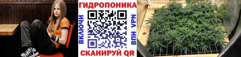 это как зайти  Сальск  Бошки Шишки Ganja 